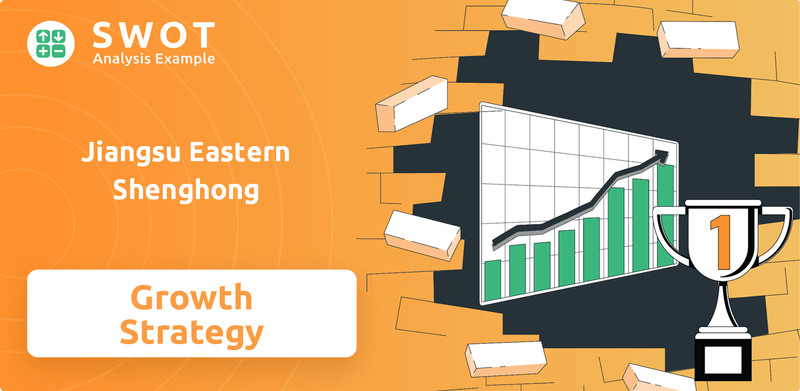 What is Growth Strategy and Future Prospects of Jiangsu Eastern Shenghong Company?