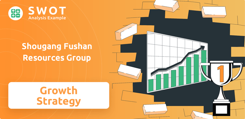 What is Growth Strategy and Future Prospects of Shougang Fushan Resources Group Company?