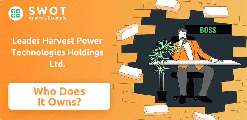Who Owns Leader Harvest Power Technologies Holdings Ltd. Company?