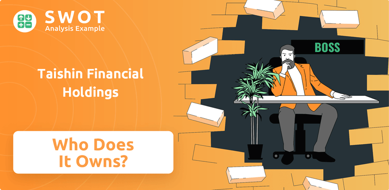 Who Owns Taishin Financial Holdings Company?