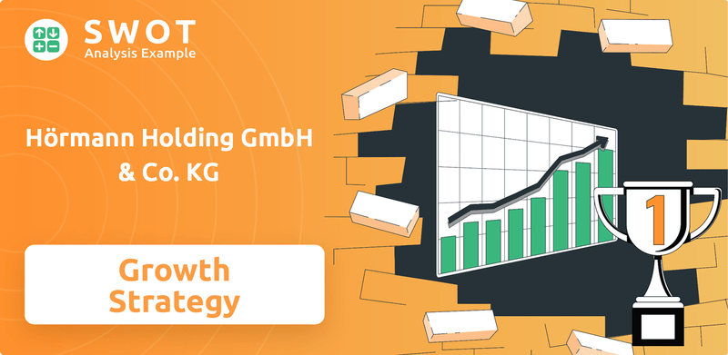 What is Growth Strategy and Future Prospects of Hörmann Holding GmbH & Co. KG Company?