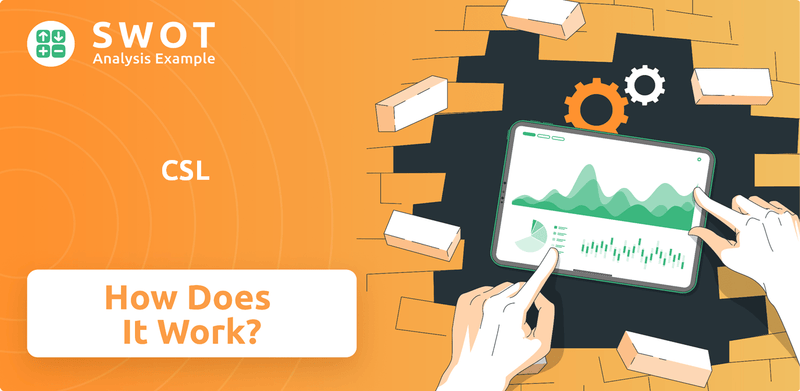 How Does CSL Company Work?