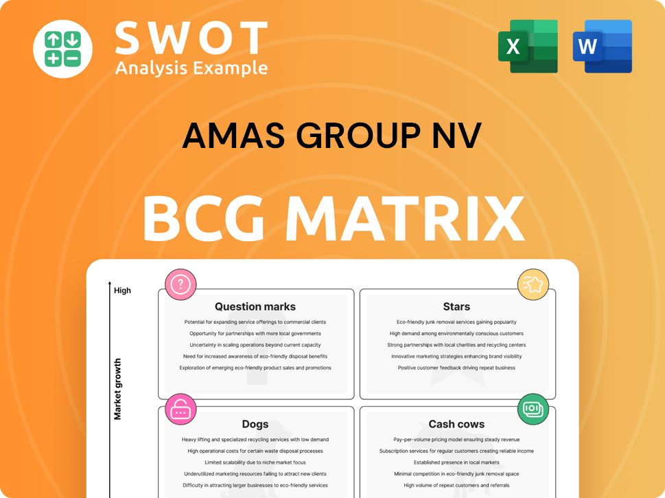 Amas Group NV Boston Consulting Group Matrix