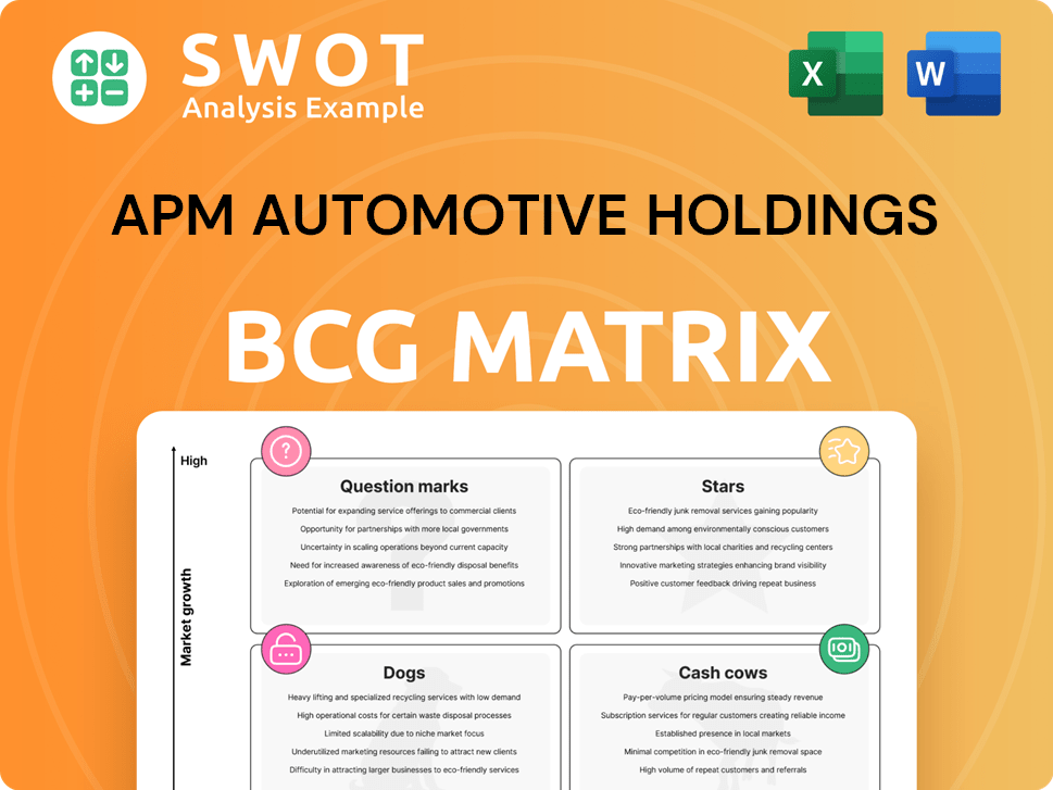 APM Automotive Holdings Boston Consulting Group Matrix