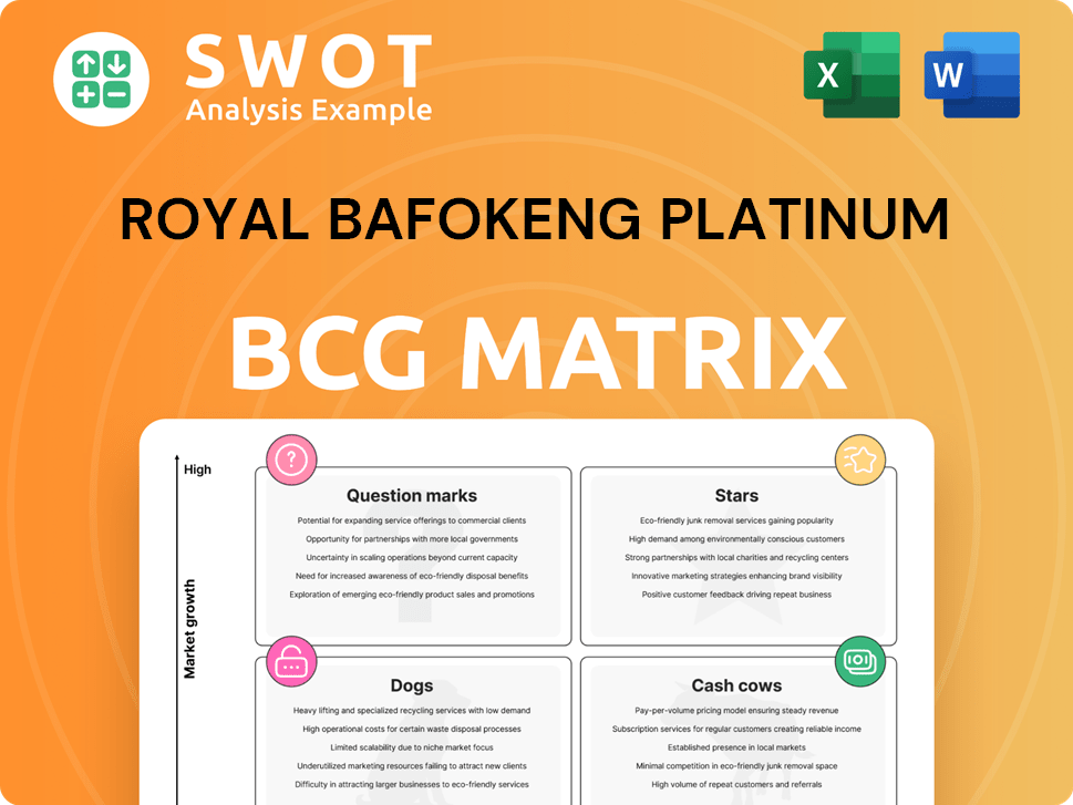 Royal Bafokeng Platinum Boston Consulting Group Matrix