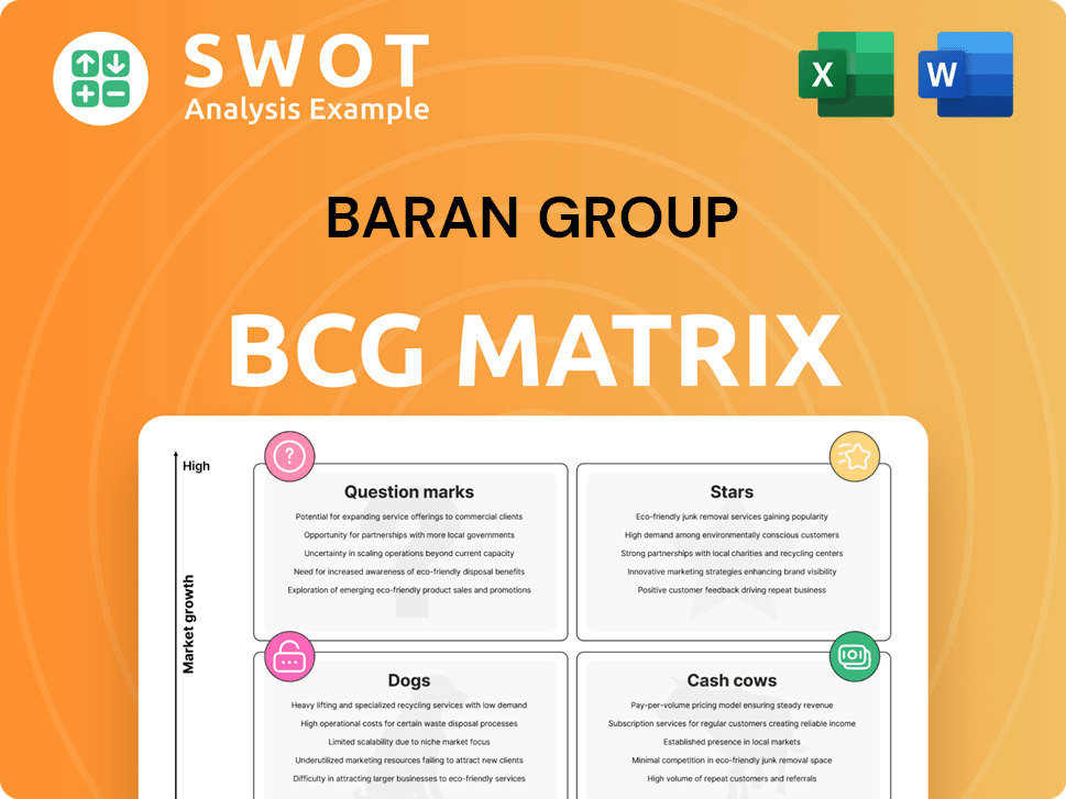 Baran Group Boston Consulting Group Matrix