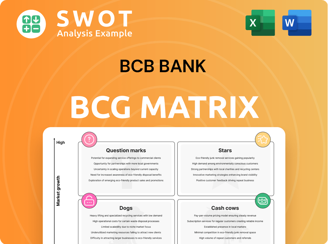 BCB Bank Boston Consulting Group Matrix