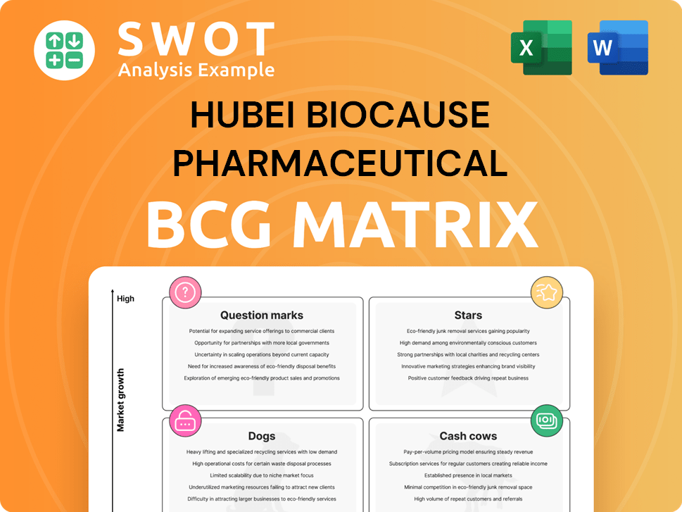 Hubei Biocause Pharmaceutical Boston Consulting Group Matrix