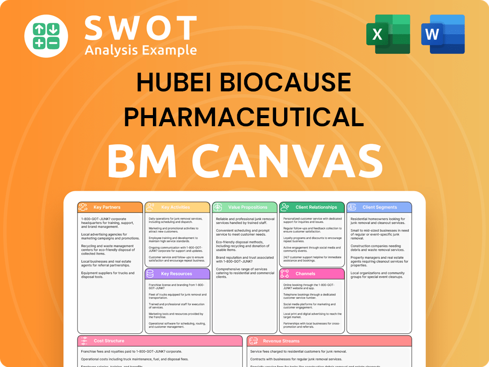 biocause-business-model-canvas