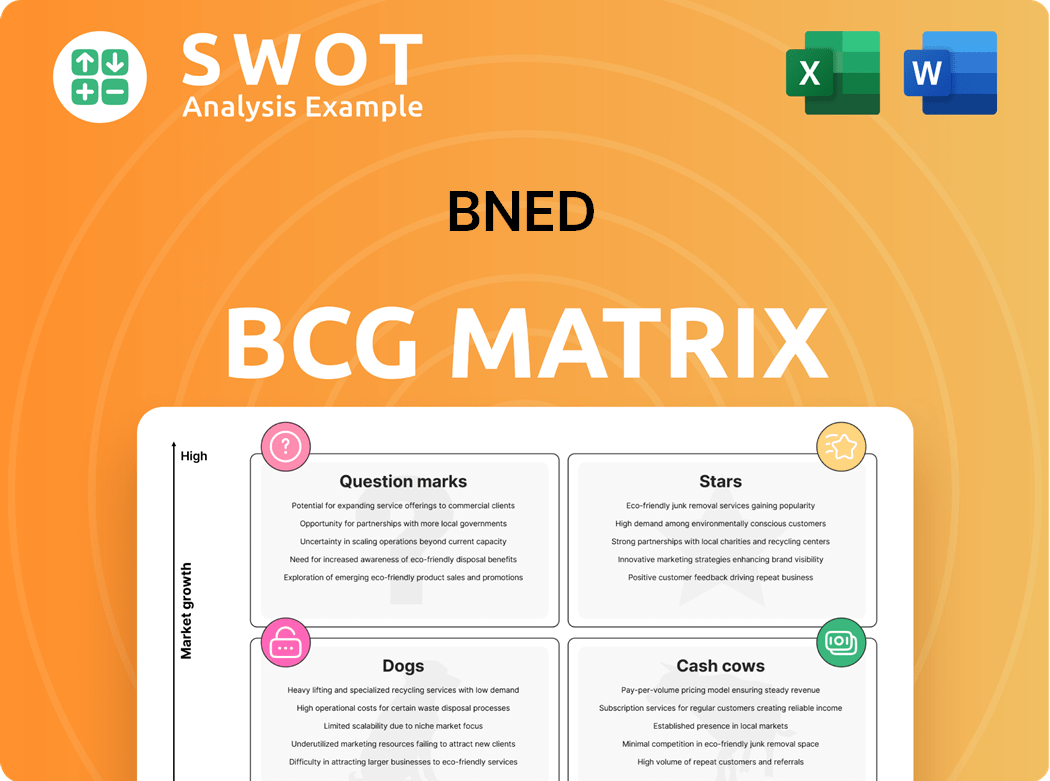BNED Boston Consulting Group Matrix