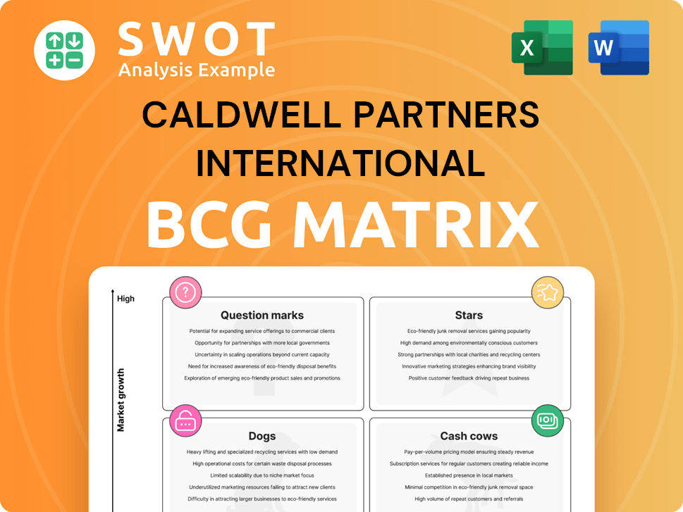 Caldwell Partners International Boston Consulting Group Matrix