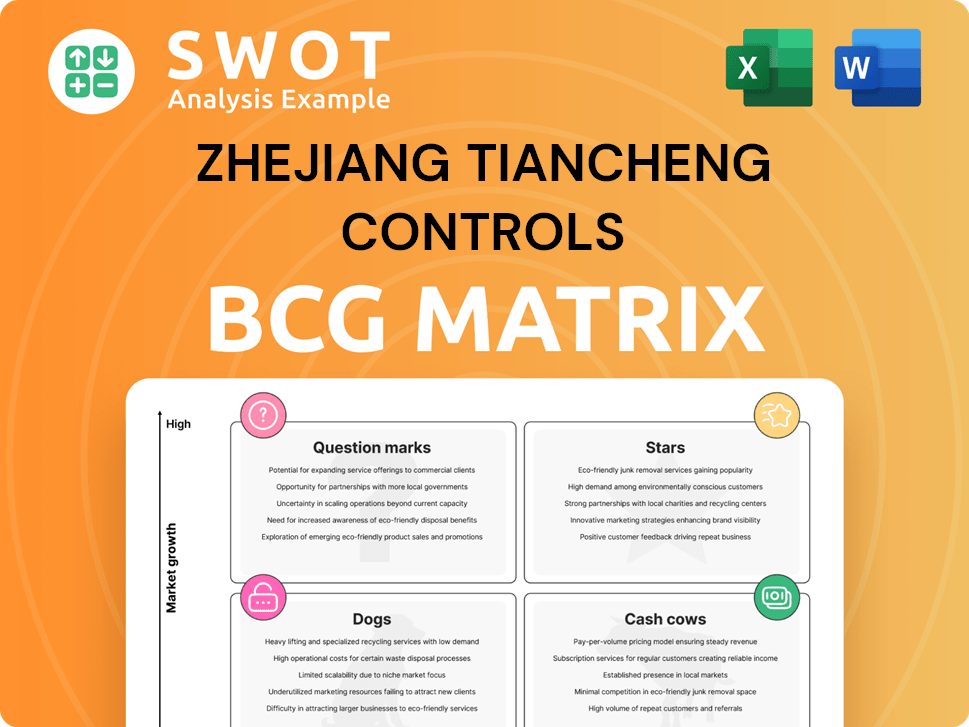 Zhejiang Tiancheng Controls Boston Consulting Group Matrix