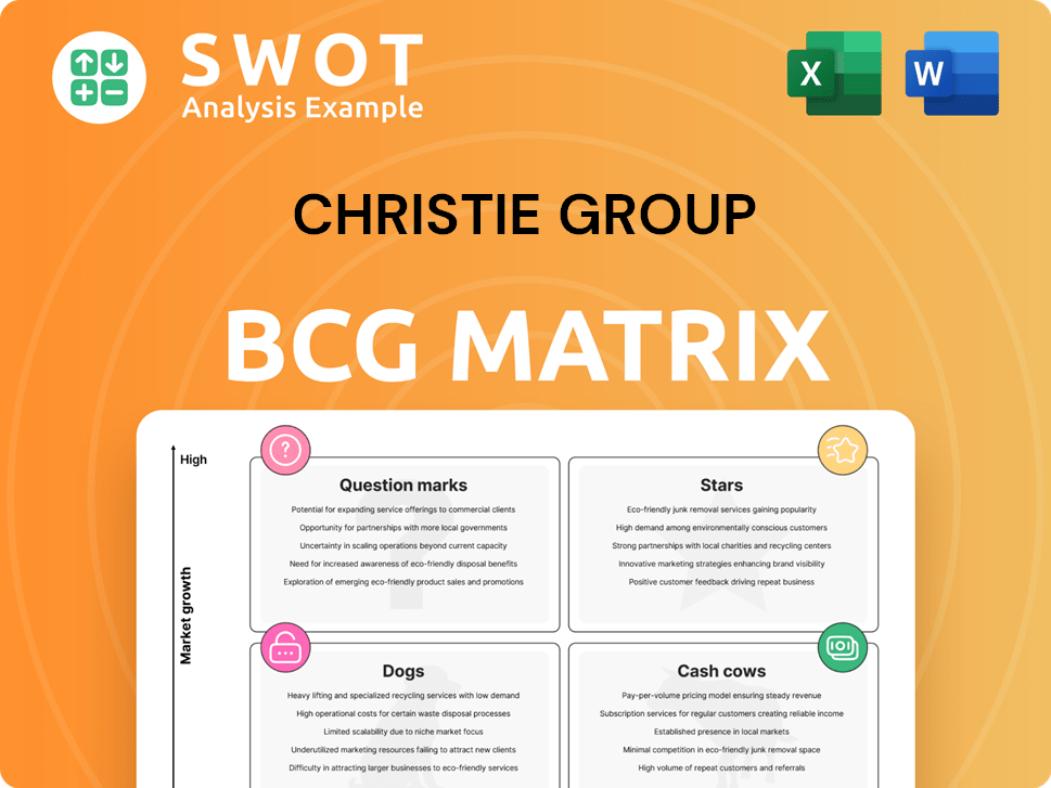 Christie Group Boston Consulting Group Matrix