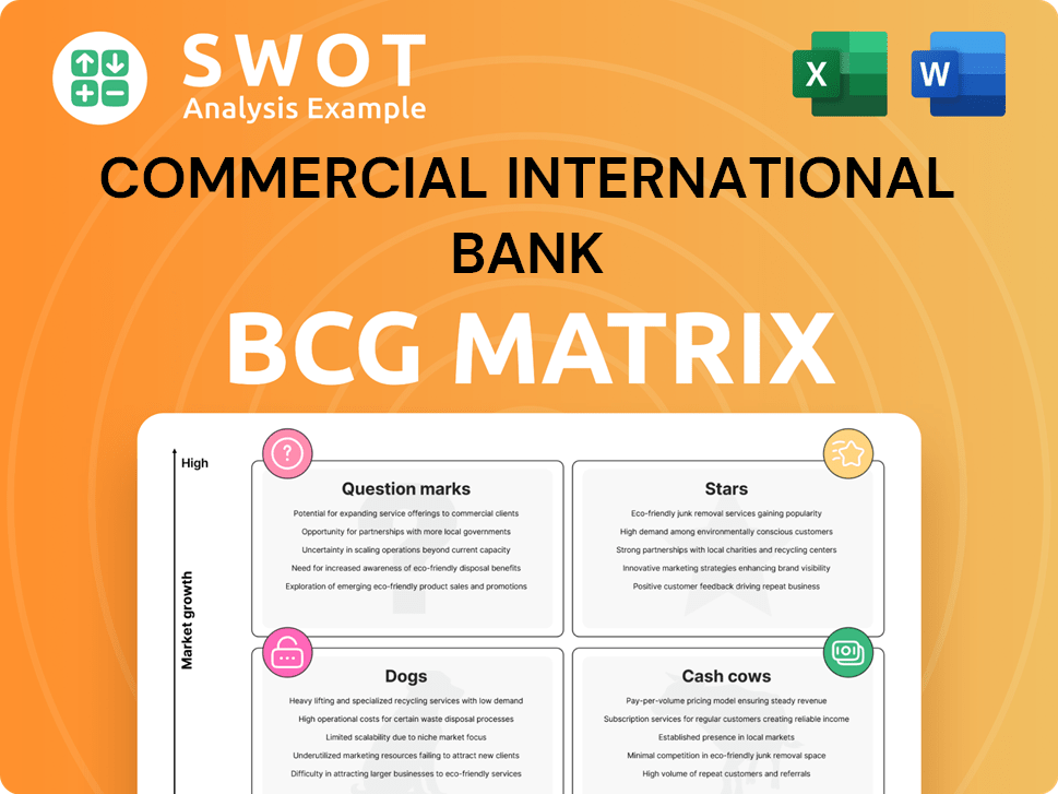Commercial International Bank Boston Consulting Group Matrix