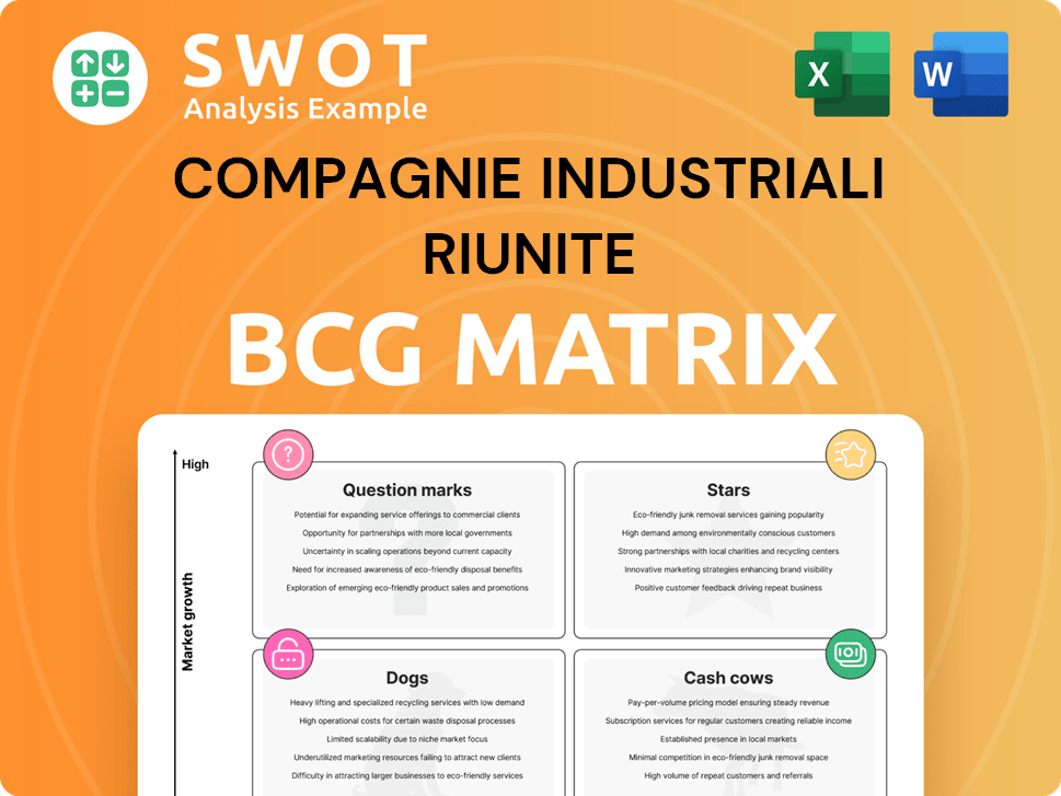 Compagnie Industriali Riunite Boston Consulting Group Matrix