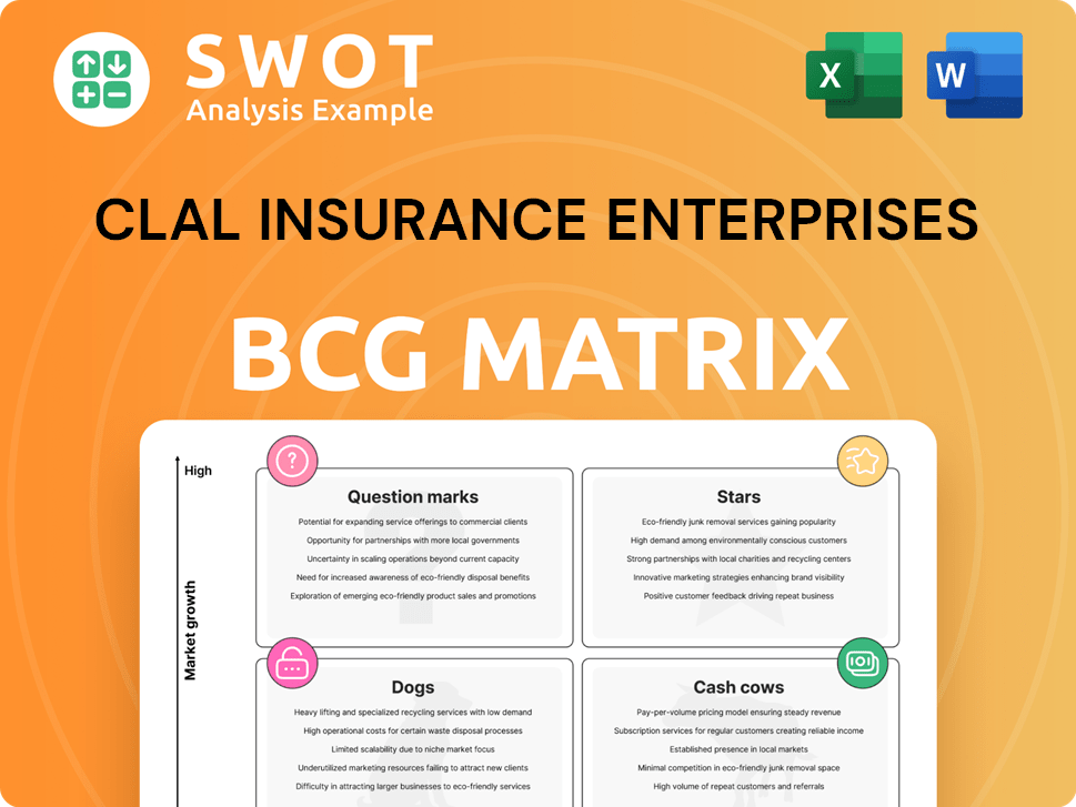 Clal Insurance Enterprises Boston Consulting Group Matrix
