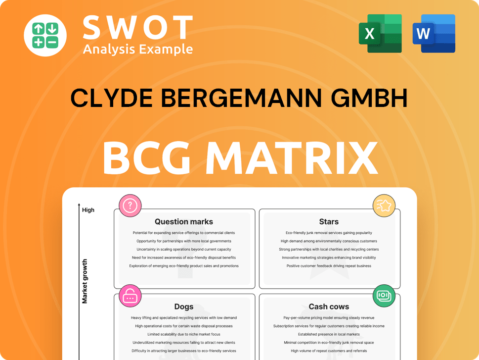 Clyde Bergemann GmbH Boston Consulting Group Matrix