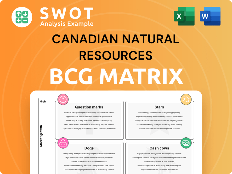 Canadian Natural Resources Boston Consulting Group Matrix