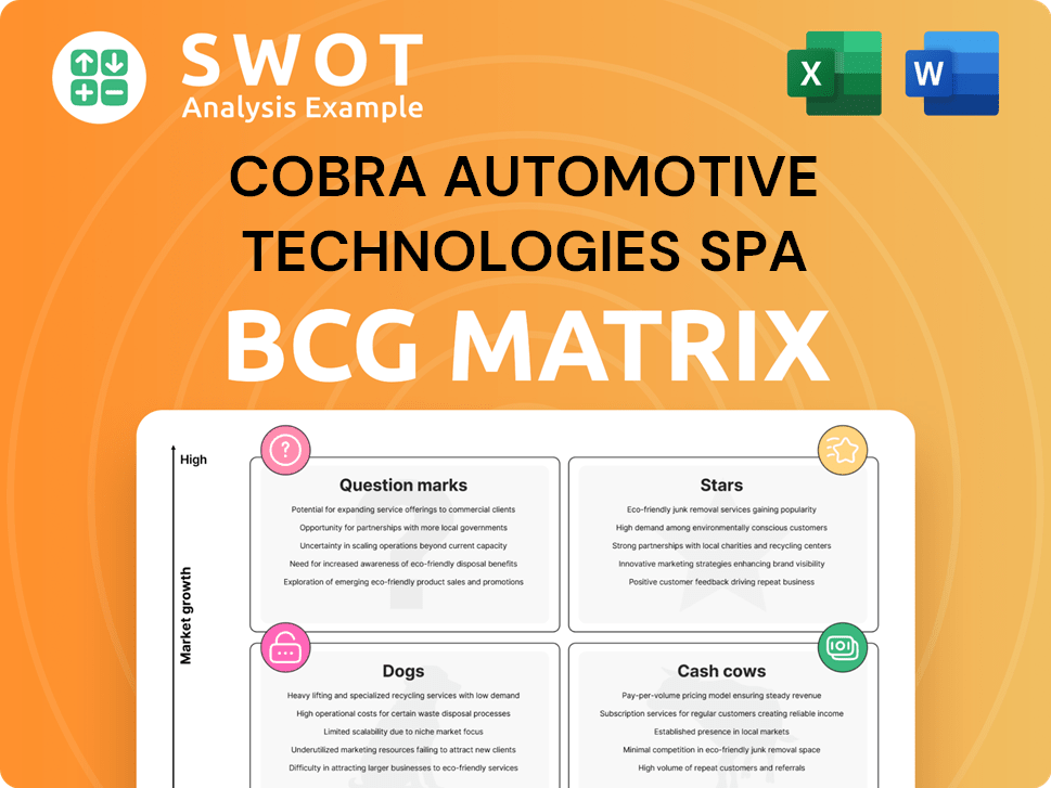 Cobra Automotive Technologies SpA Boston Consulting Group Matrix
