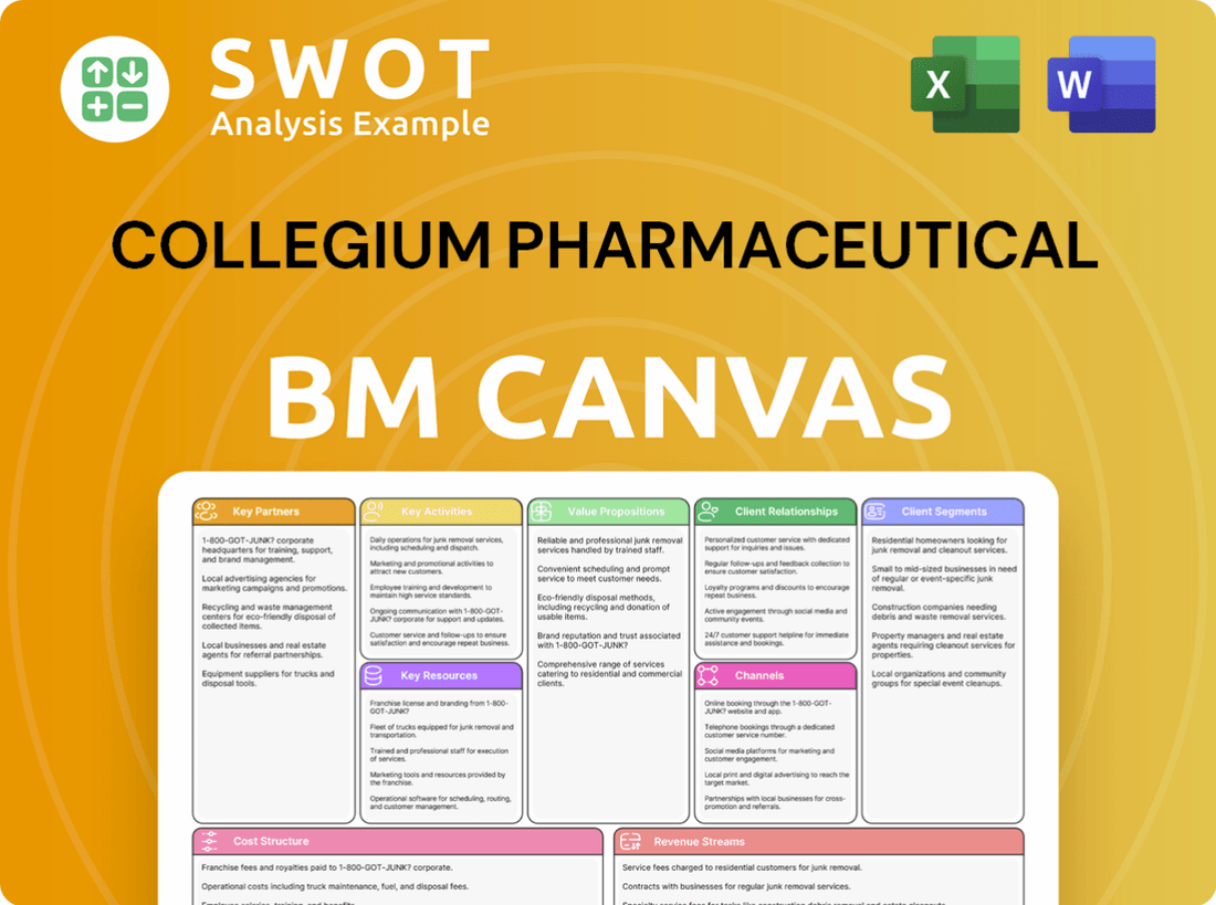 Collegium Pharmaceutical Business Model Canvas