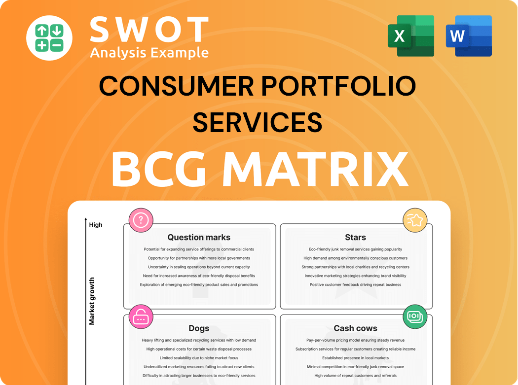 Consumer Portfolio Services Boston Consulting Group Matrix