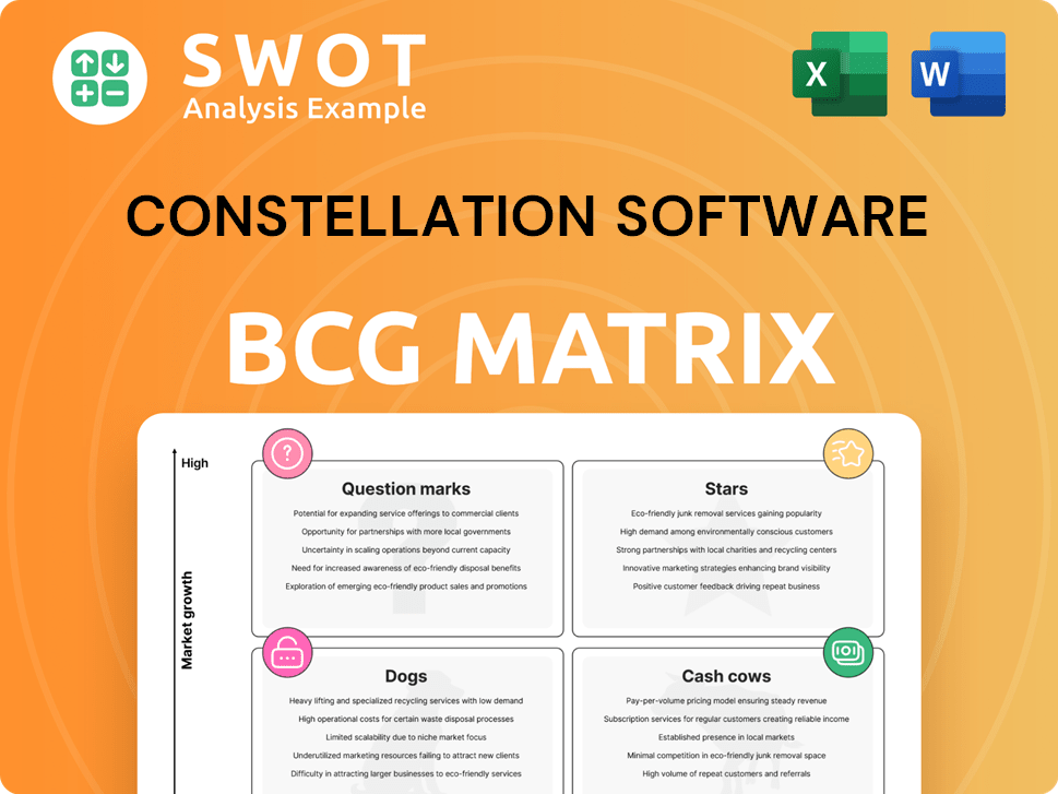 Constellation Software Boston Consulting Group Matrix