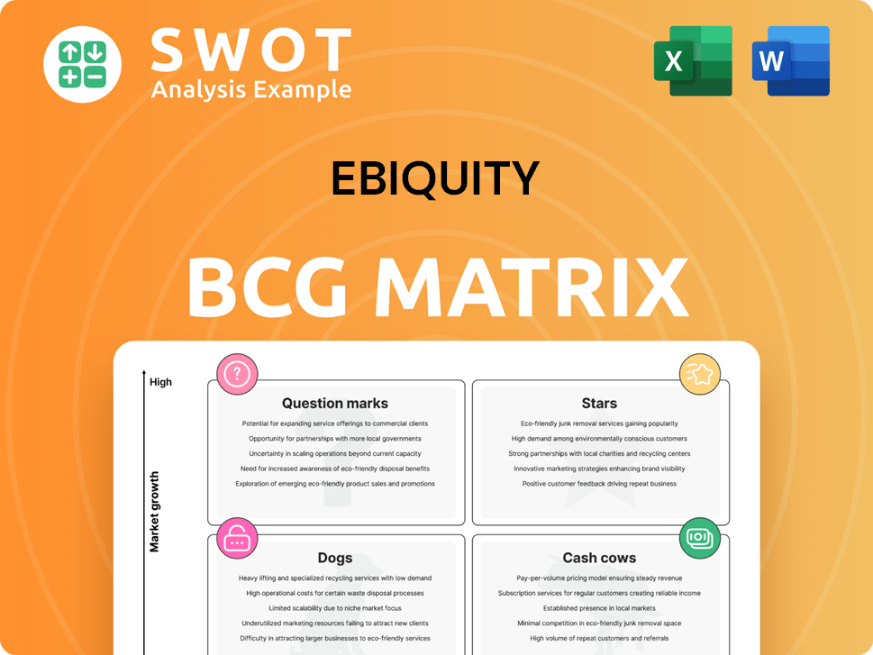 Ebiquity Boston Consulting Group Matrix