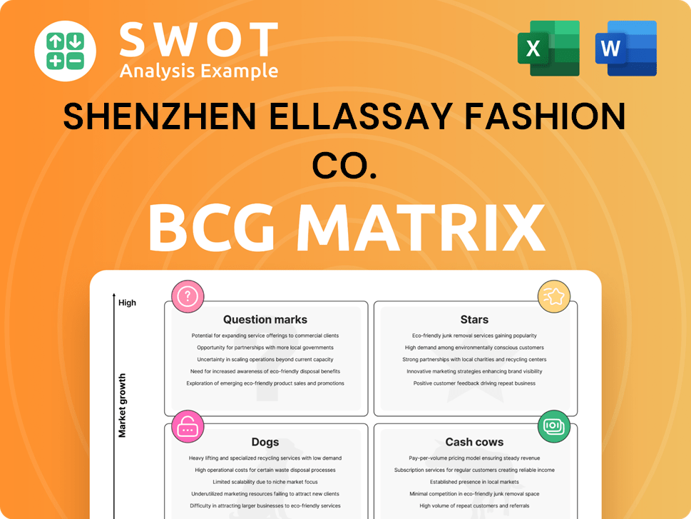 Shenzhen Ellassay Fashion Co. Boston Consulting Group Matrix