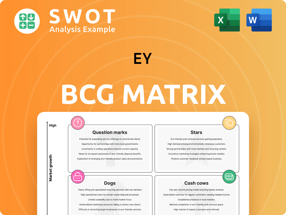EY Boston Consulting Group Matrix