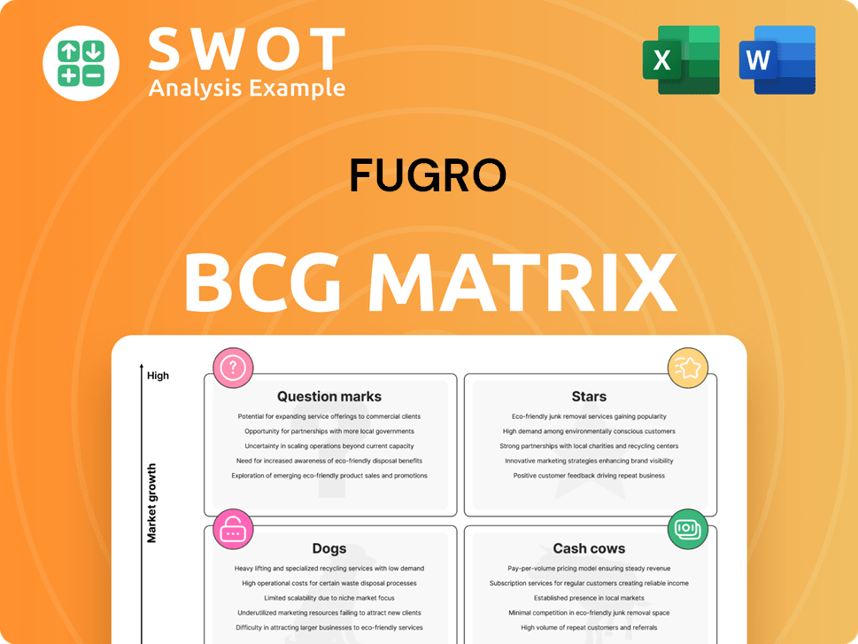 Fugro Boston Consulting Group Matrix