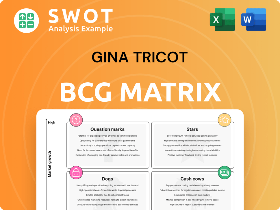 Gina Tricot Boston Consulting Group Matrix