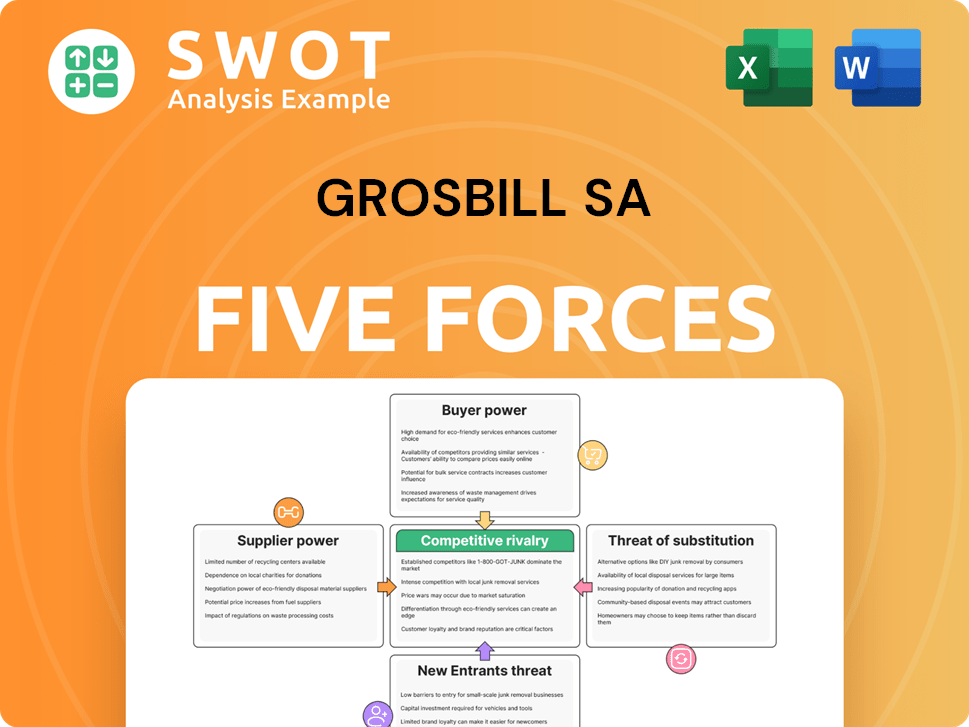 Grosbill SA Porter's Five Forces Analysis