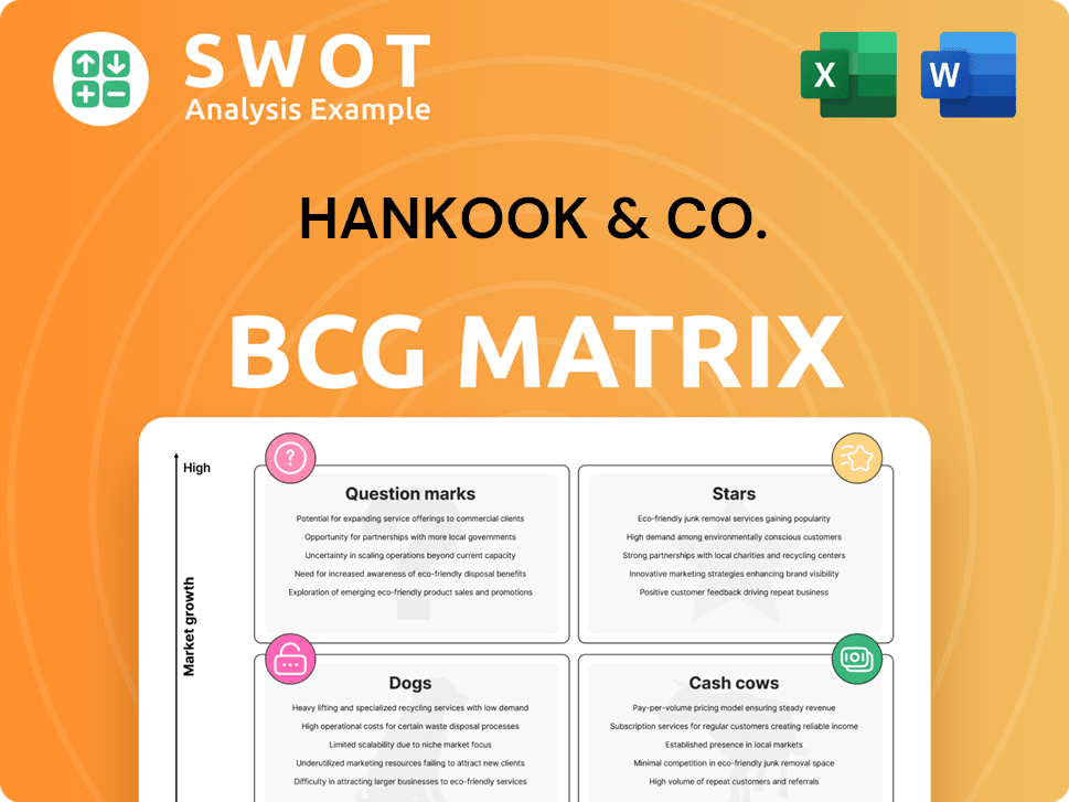 Hankook & Co. Boston Consulting Group Matrix