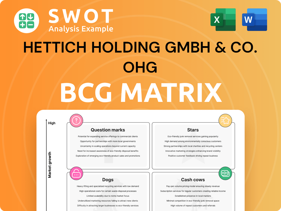 Hettich Holding GmbH & Co. oHG Boston Consulting Group Matrix