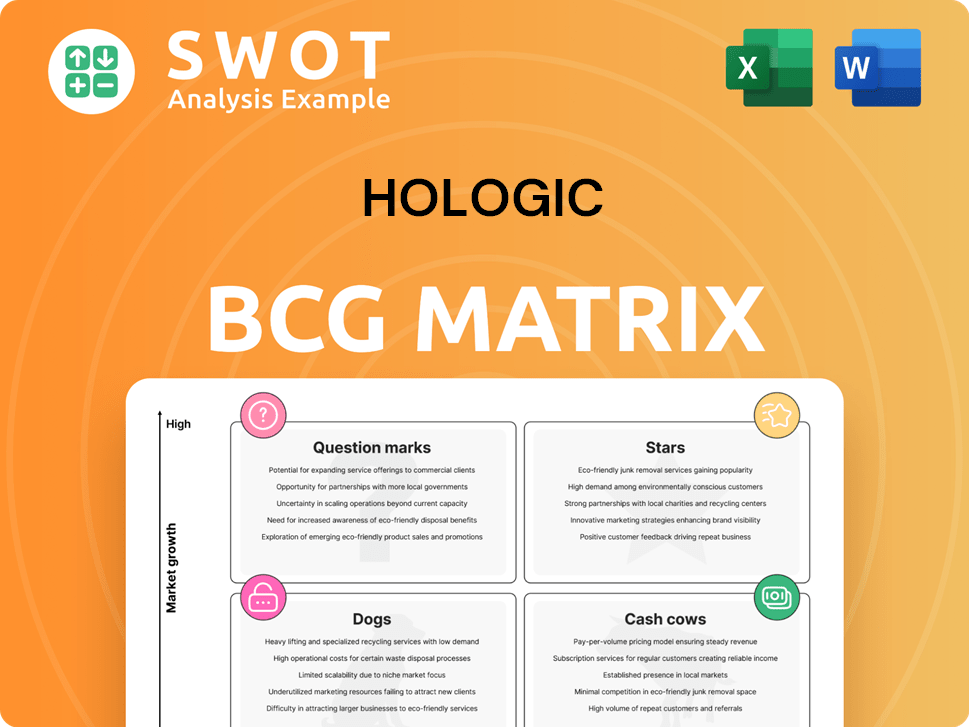Hologic Boston Consulting Group Matrix