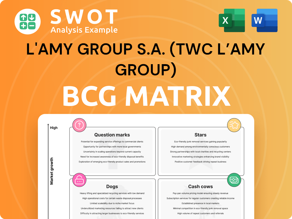 L'AMY Group S.A. (TWC L’AMY Group) Boston Consulting Group Matrix