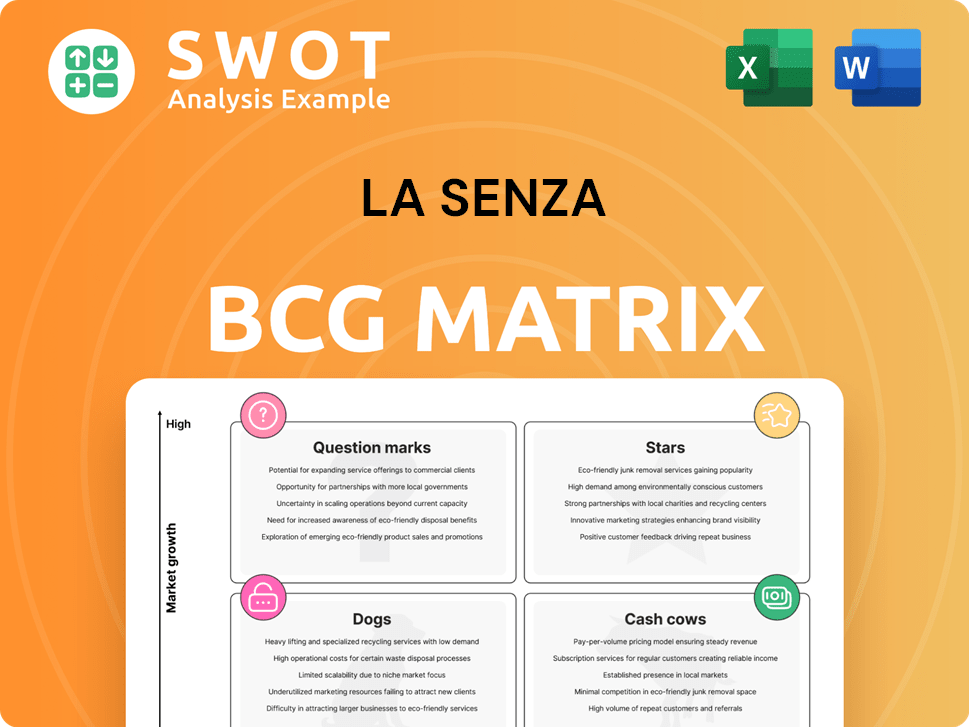 La Senza Boston Consulting Group Matrix