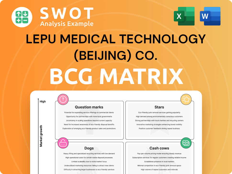 Lepu Medical Technology (Beijing) Co. Boston Consulting Group Matrix