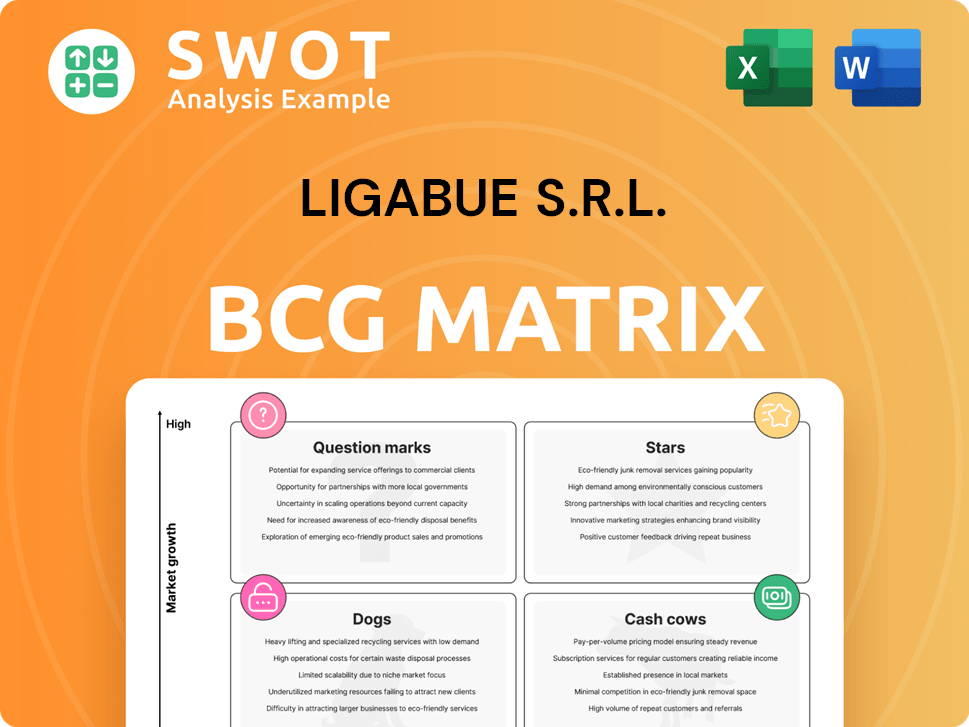 Ligabue S.r.l. Boston Consulting Group Matrix