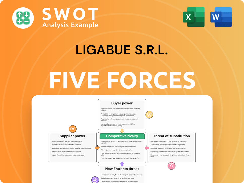 Ligabue S.r.l. Porter's Five Forces Analysis
