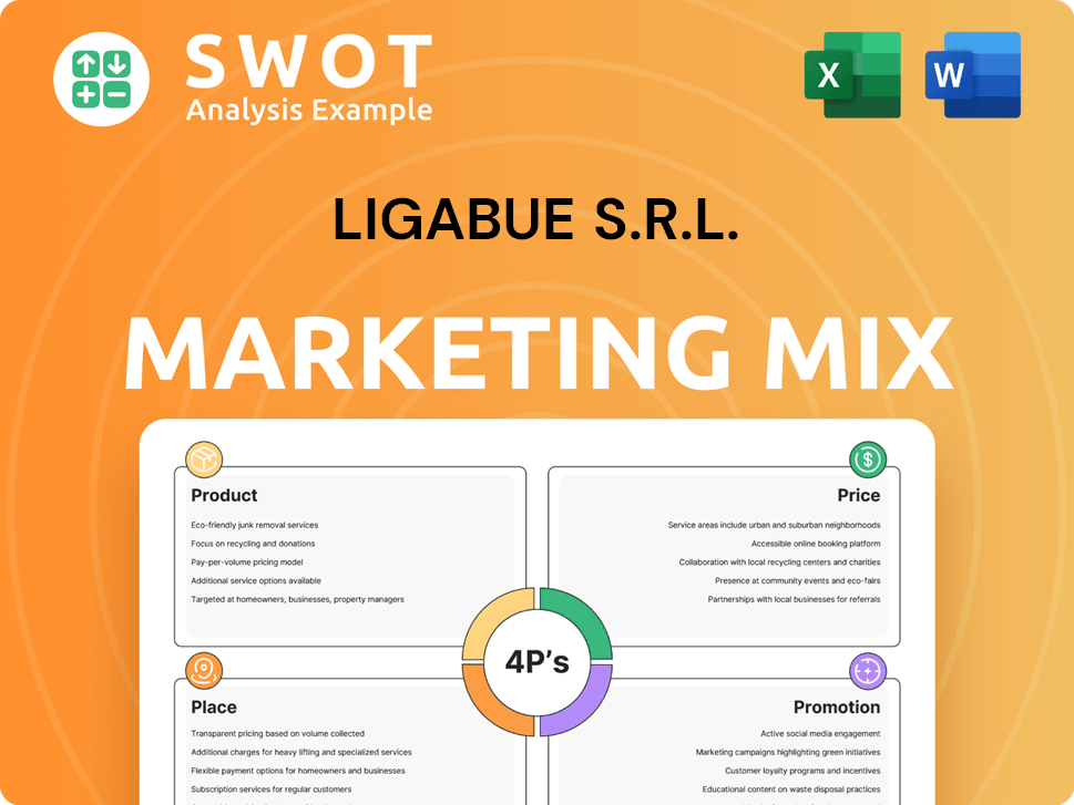 Ligabue S.r.l. Marketing Mix