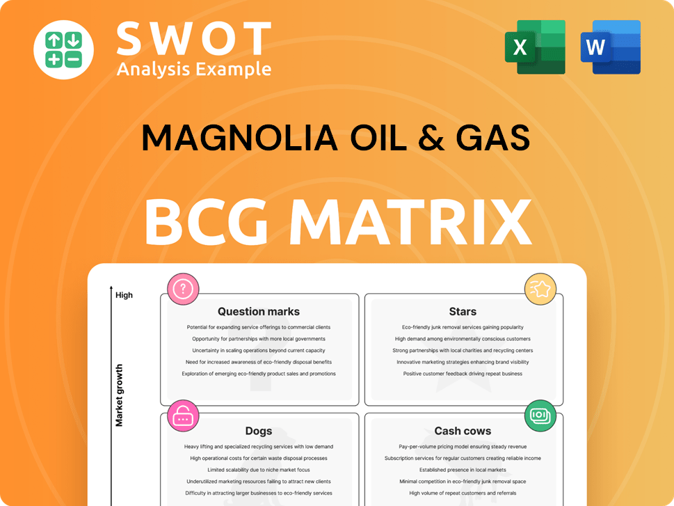 Magnolia Oil & Gas Boston Consulting Group Matrix
