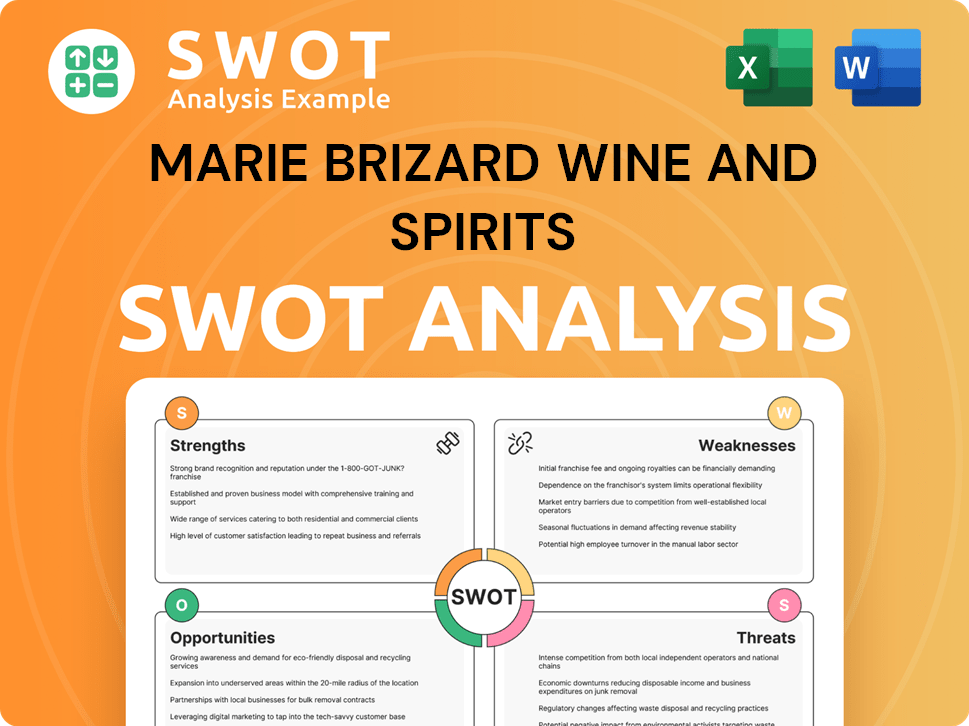 Marie Brizard Wine and Spirits SWOT Analysis