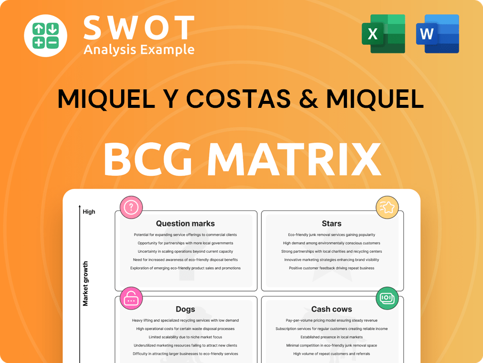 Miquel y Costas & Miquel Boston Consulting Group Matrix