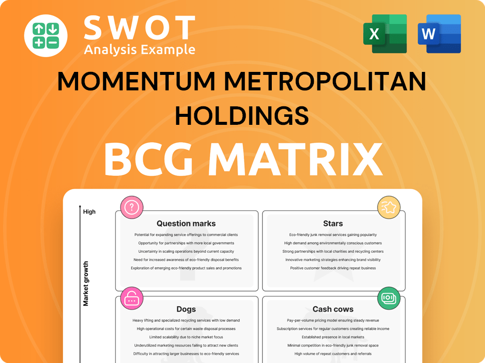 Momentum Metropolitan Holdings Boston Consulting Group Matrix