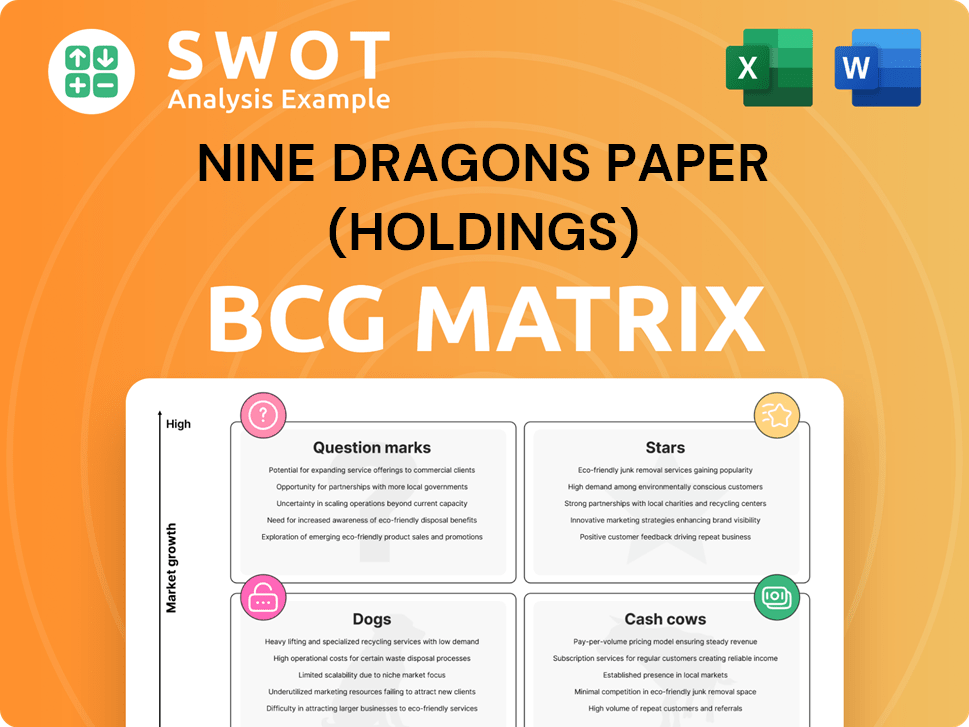 Nine Dragons Paper (Holdings) Boston Consulting Group Matrix
