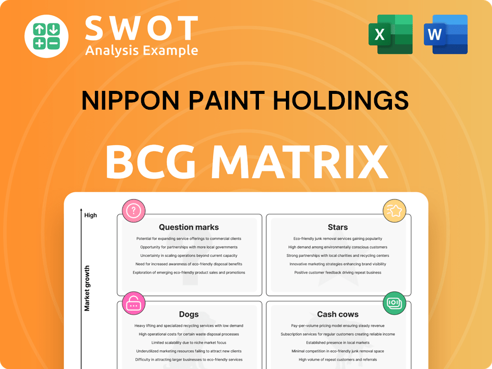 Nippon Paint Holdings Boston Consulting Group Matrix
