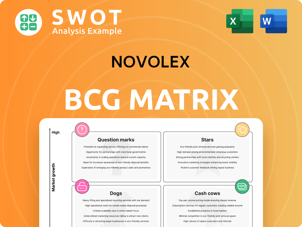 Novolex Boston Consulting Group Matrix