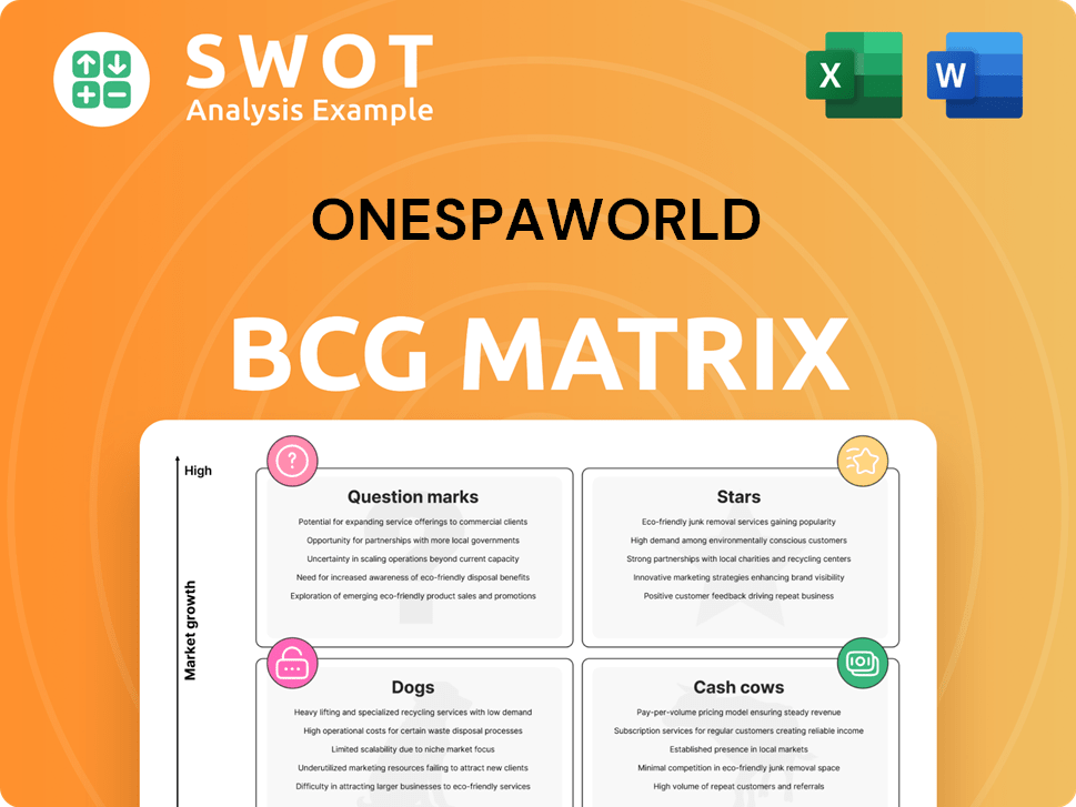 OneSpaWorld Boston Consulting Group Matrix