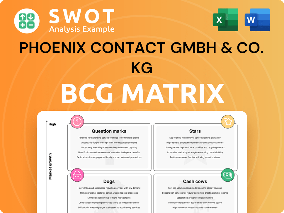 Phoenix Contact GmbH & Co. KG Boston Consulting Group Matrix